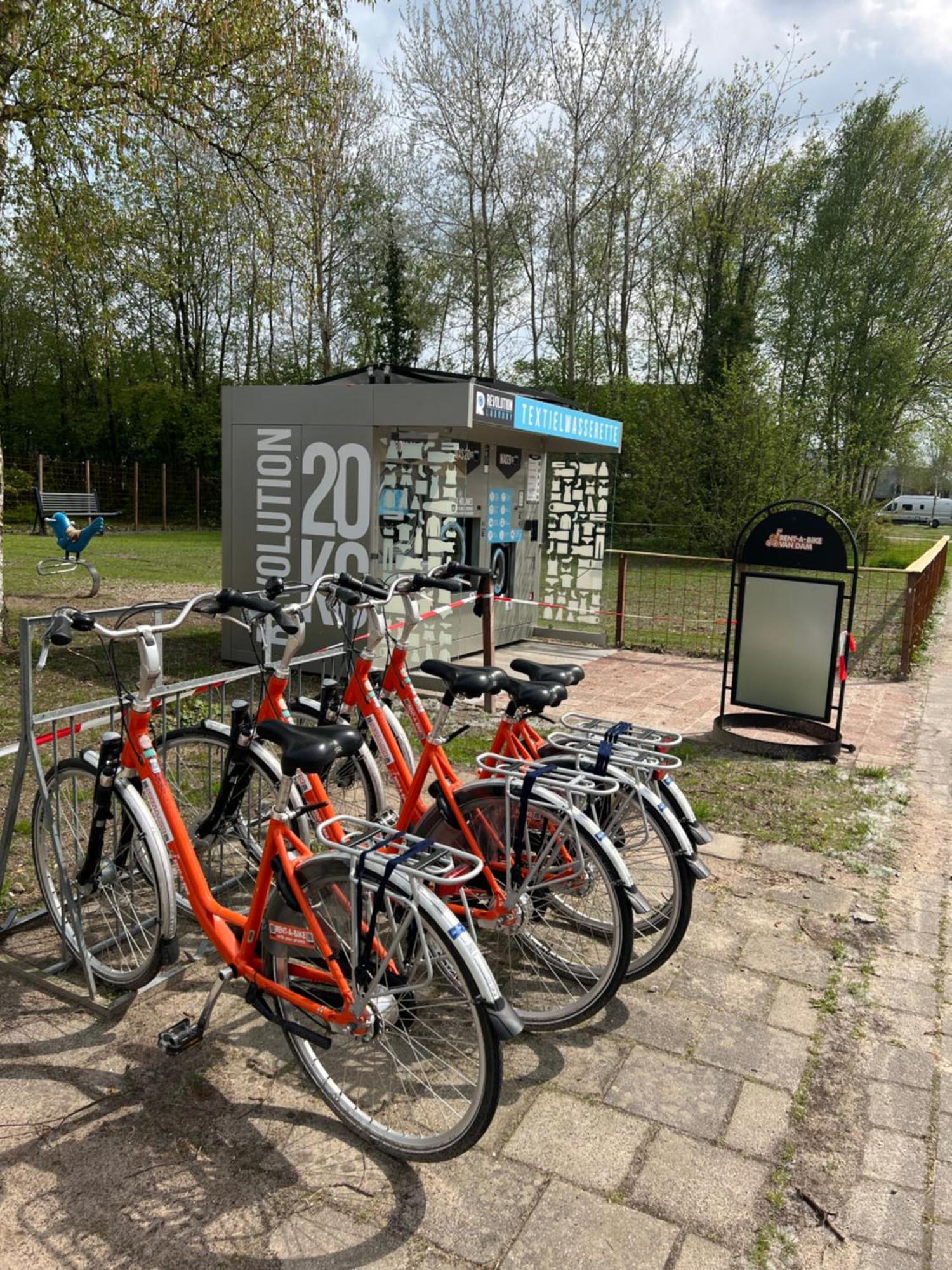 Chalet Quattro In Bosrijke Omgeving Anloo エクステリア 写真