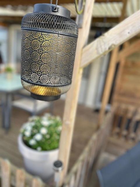 Chalet Quattro In Bosrijke Omgeving Anloo エクステリア 写真